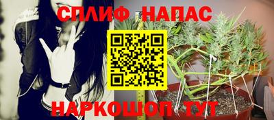 МДПВ Краснознаменск