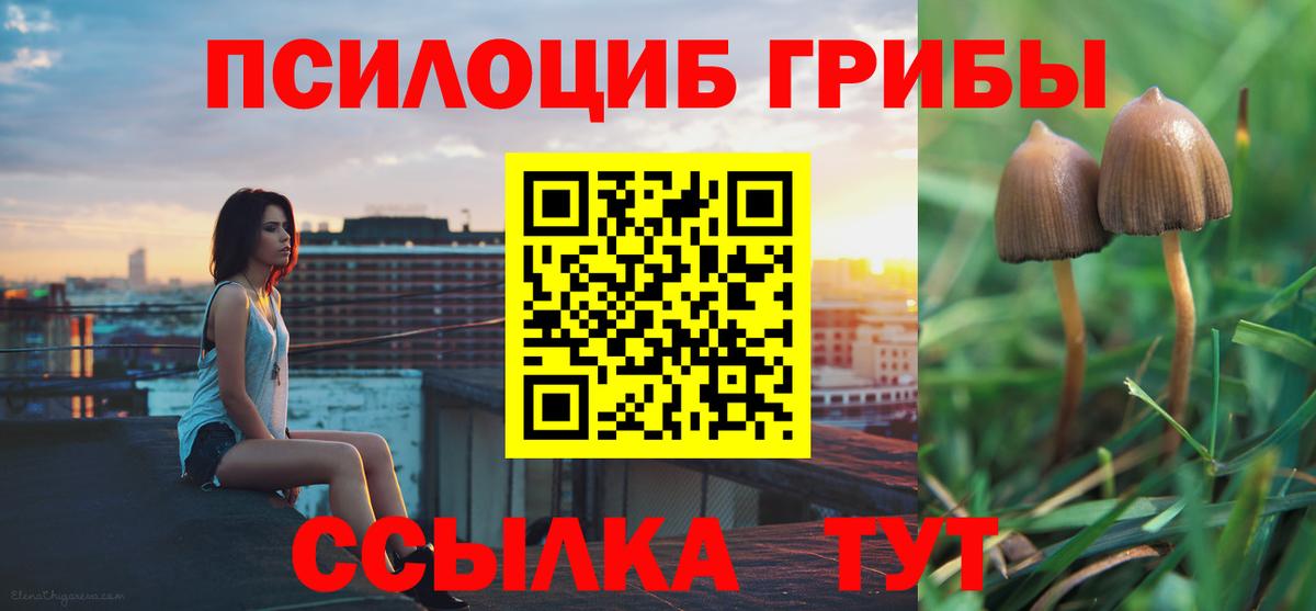 Псилоцибиновые грибы MAGIC MUSHROOMS  Вход с VPN  Псилоцибиновые грибы прущие грибы  Коломна 