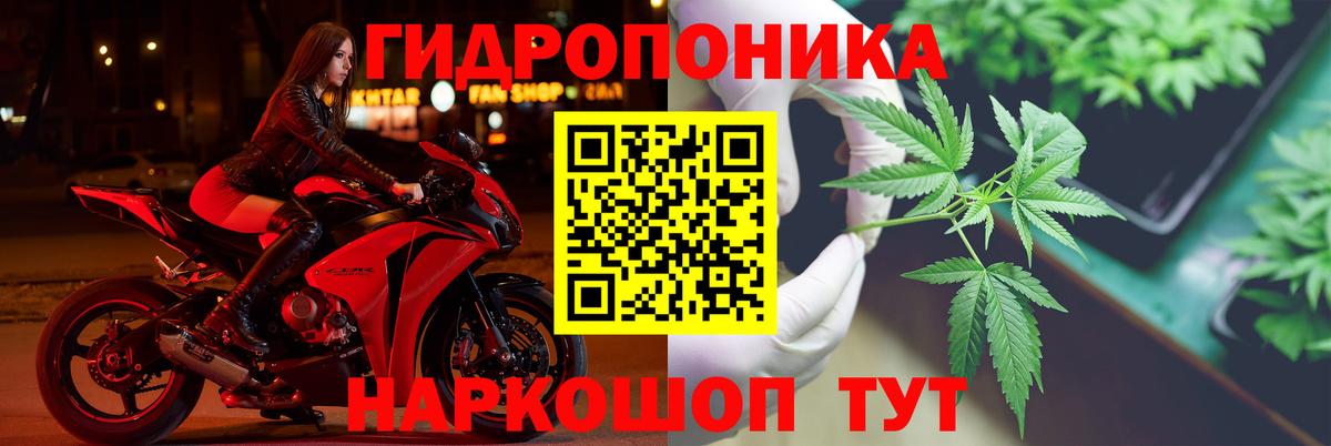 Бошки марихуана White Widow  Каннабис тримм  Коломна  Вход с VPN  Каннабис Ganja  Шишки марихуана марихуана 